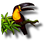 [toucan and shadow, 255-color/alpha palette image]